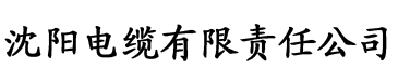 久久婷婷丁香七月色综合电缆厂logo